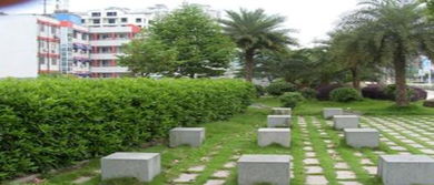 工廠綠化施工與養護服務 打造綠色生態工業環境